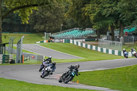 Lower Group Silver_Grey Bikes